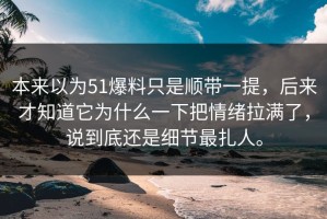 本来以为51爆料只是顺带一提，后来才知道它为什么一下把情绪拉满了，说到底还是细节最扎人。