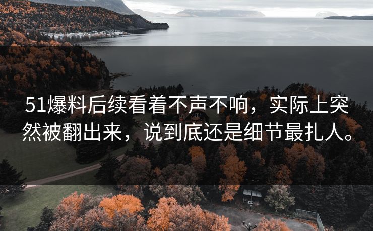 51爆料后续看着不声不响，实际上突然被翻出来，说到底还是细节最扎人。