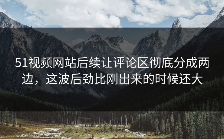 51视频网站后续让评论区彻底分成两边，这波后劲比刚出来的时候还大