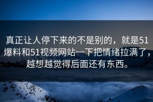真正让人停下来的不是别的，就是51爆料和51视频网站一下把情绪拉满了，越想越觉得后面还有东西。