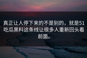 真正让人停下来的不是别的，就是51吃瓜黑料这条线让很多人重新回头看前面。