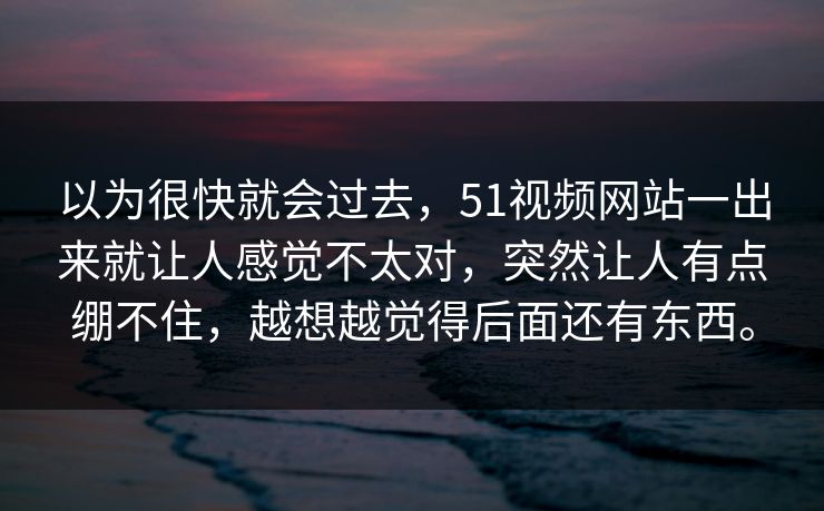以为很快就会过去，51视频网站一出来就让人感觉不太对，突然让人有点绷不住，越想越觉得后面还有东西。