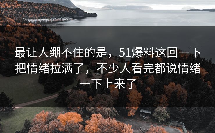 最让人绷不住的是，51爆料这回一下把情绪拉满了，不少人看完都说情绪一下上来了