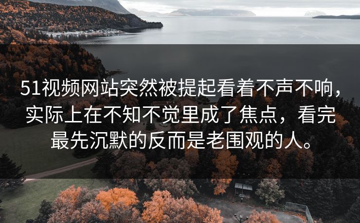 51视频网站突然被提起看着不声不响，实际上在不知不觉里成了焦点，看完最先沉默的反而是老围观的人。